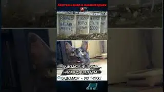 #memes