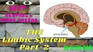 Limbic system | Part-2 | Neural control and coordination | Hippocampus | By Heena Mam