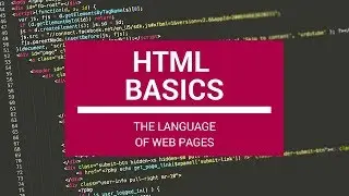 HTML Basics: The Language of Web Pages
