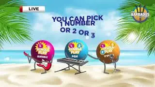 Double Draw #31488 03-09-2024