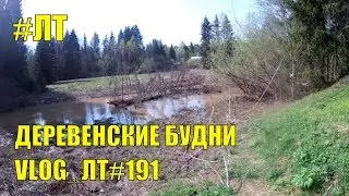 [VLOG_ЛТ#191]: будни жизни в деревне, мастерим беседку и др.