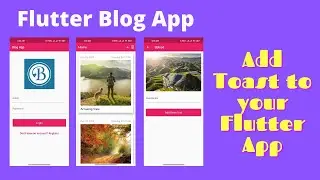 10. Add Toast to your Flutter App