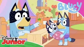 Purple Underpants? 💜 | Bluey 💙 | Disney Junior Arabia