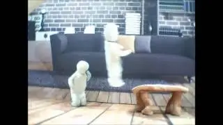 The Dare