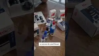 5 lucruri pe care nu le stiai despre ștampile