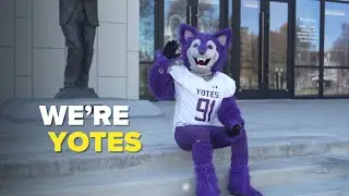 We're Yotes