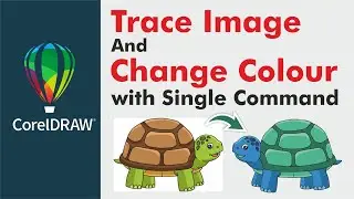 Trace image in coreldraw | Trace image and change colour with single command | #coreldraw