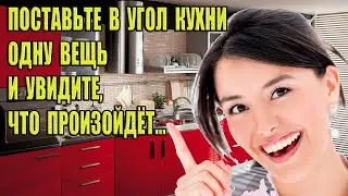 Поставьте в угол кухни одну вещь и увидите, что произойдёт!