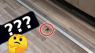 Does a Travel Trailer Slide Out Scratch Renovated Vinyl / Linoleum Tile Flooring Underneath?