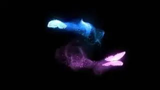 🦋🦋 Free Stock Footage  Flying Butterflies Background Black screen 🦋🦋 KG TEMPLATES