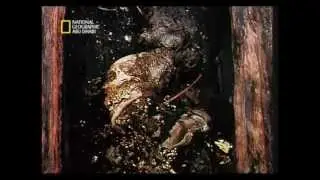 قضية للتشريح _ لينين ناشونال جيوغرافيك ابو ظبي