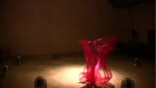 American Beauty voice over: Nio Lauro