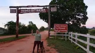 BRAZILIAN ADVENTURE - Brazilian Pantanal Tour 🐊🦌