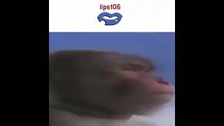GTA 3 radio stations be like