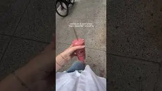what i ate this day in nyc 🩷🍓🌸 #whatieatinaday #nycfood #foodfreedom #collagenbenefits #nyclife