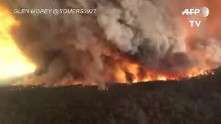 Emergencia Climática Enero 2020