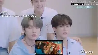 Stray Kids Reaction to "Circus"MV