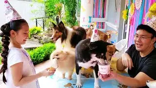 Bug's Cutest Puppy Moments! 1 Hour Compilation! | Little Big Toys