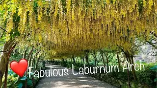 Bodnant Gardens & Laburnum Arch North Wales