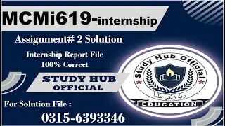 MCMi619 mass communication internship report sp2024 A2 mcmi619 
