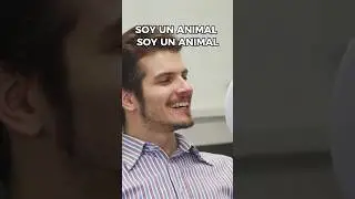 Los Cóndores NO se Suicidan #animales