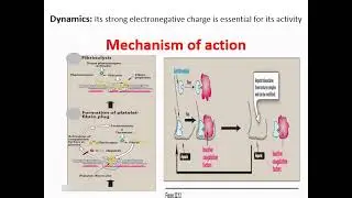 Anticoagulant part 1 ( pharmacology)