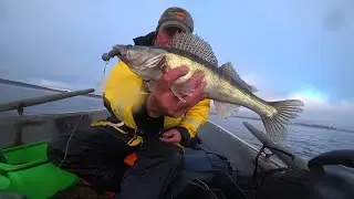Выборгский залив. Дорожка. Судаки. День 2.
