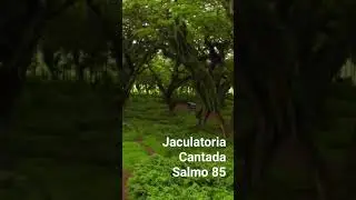 Tu Señor eres bueno y Clemente - Jaculatoria Cantada #musicacatolica #oracion #salmos