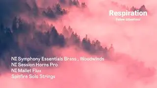 Respiration