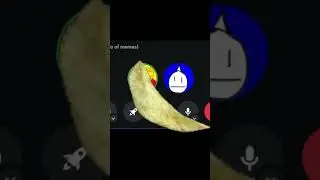 Chip ASMR