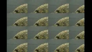 some more weird footage i found
