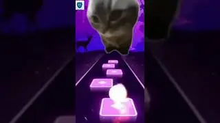 tom chipika chipiki 