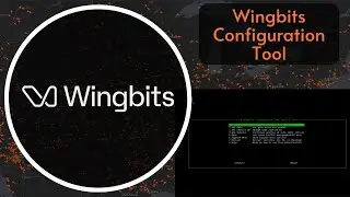 Wingbits Configuration Tool: Take control of your station!