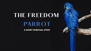 THE FREEDOM PARROT – A Short Spiritual Story