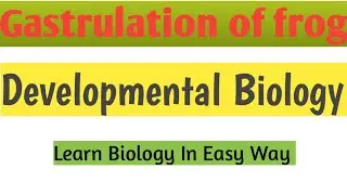 Gastrulation in frog | Dorsal lip of blastopore| Developmental Biology #zoology #biology #bsczoology
