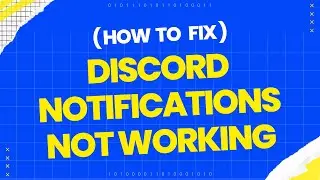 How to fix Discord Notifications not working?