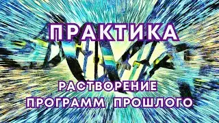 💫 Практика Растворение программ прошлого