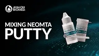 Avalon Biomed Mixing Video Putty