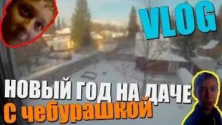 Новый год на даче С Чебурашкой| VLOG