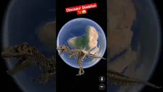 I Found Dinosaur Skeleton On Google Earth 🦖😱 