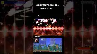 #fypツ #rec #recs #funnymemes #рекомендации  #terraria #meme