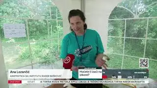 Dnevnik nova TV 7.6.2024.