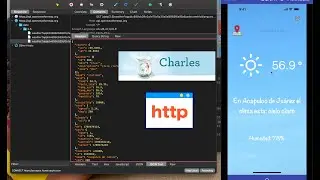 How to use and install Charles Proxy on iPhone to analyze Rest API request traffic and create mocks