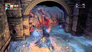 Bloodborne - Oinkie Noooooo!!!