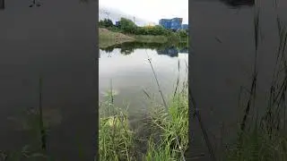 16 июня 2024 г.
