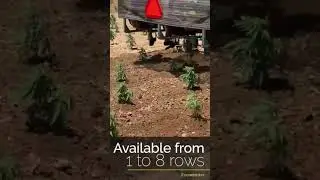 Ecoweeder in hemp
