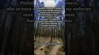 "Радуйтесь и веселитесь!" #shorts #библия #от_матфея #вера #Бог #христианство #ИисусХристос