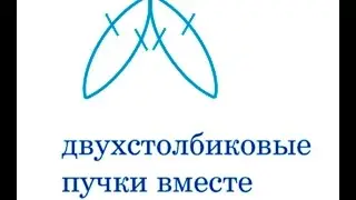 двухстолбиковые пучки вместе