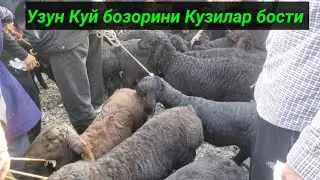 Сурхондарё Узун Куй бозори нархлари. 17.04.2022й
