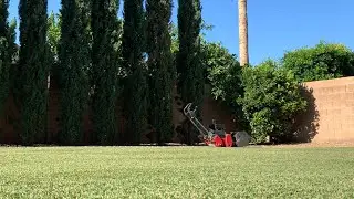 Quick update of the lawn 6-1-21